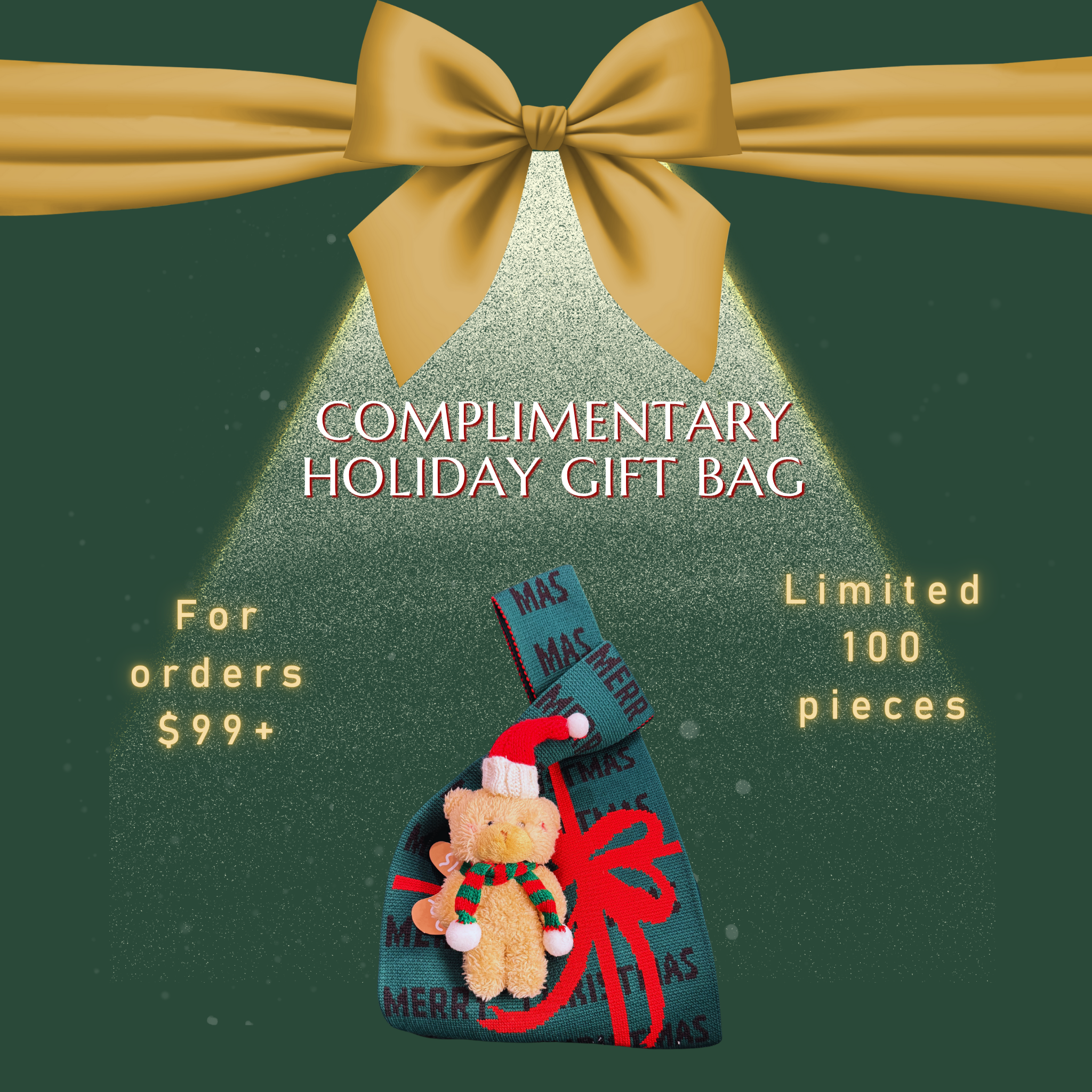 Holiday Gift Bag